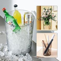 Seau à glace transparent en plastique pour bière, vin, boissons, fruits – Glacière double bouteille pour club, extérieur, mariage, fête, bar, pique-nique