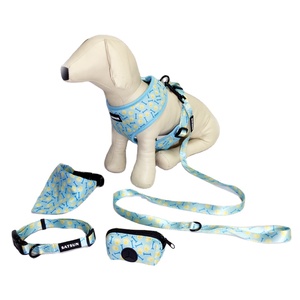 Set Personalizzato per Cani con Pettorina, Dispenser per Sacchetti Igienici, Bandana, Guinzaglio Regolabile e Collare - Product Image 1