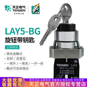 Tengen LAY5 Key Operated Rotary Switch 25A Lock Power <b>Conversion</b> XB2 NP2 BG21 Normally Open 33 Position - Product Image 5