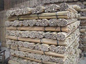 Materiais Brutos de Bambu, Cana de Bambu, Poste de Bambu para Plantas - Product Image 6