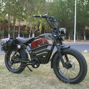 Vélo électrique populaire de 20 pouces, style vintage, haute puissance 1500W 48V, pneus larges, pour adultes, 18Ah, tout-terrain, modèle CRUISER - Product Image 3