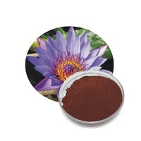 Extrait de fleur de lotus bleu pur à 100% de qualité supérieure, poudre de fleur de lotus bleu de qualité alimentaire naturelle, soluble dans l'eau