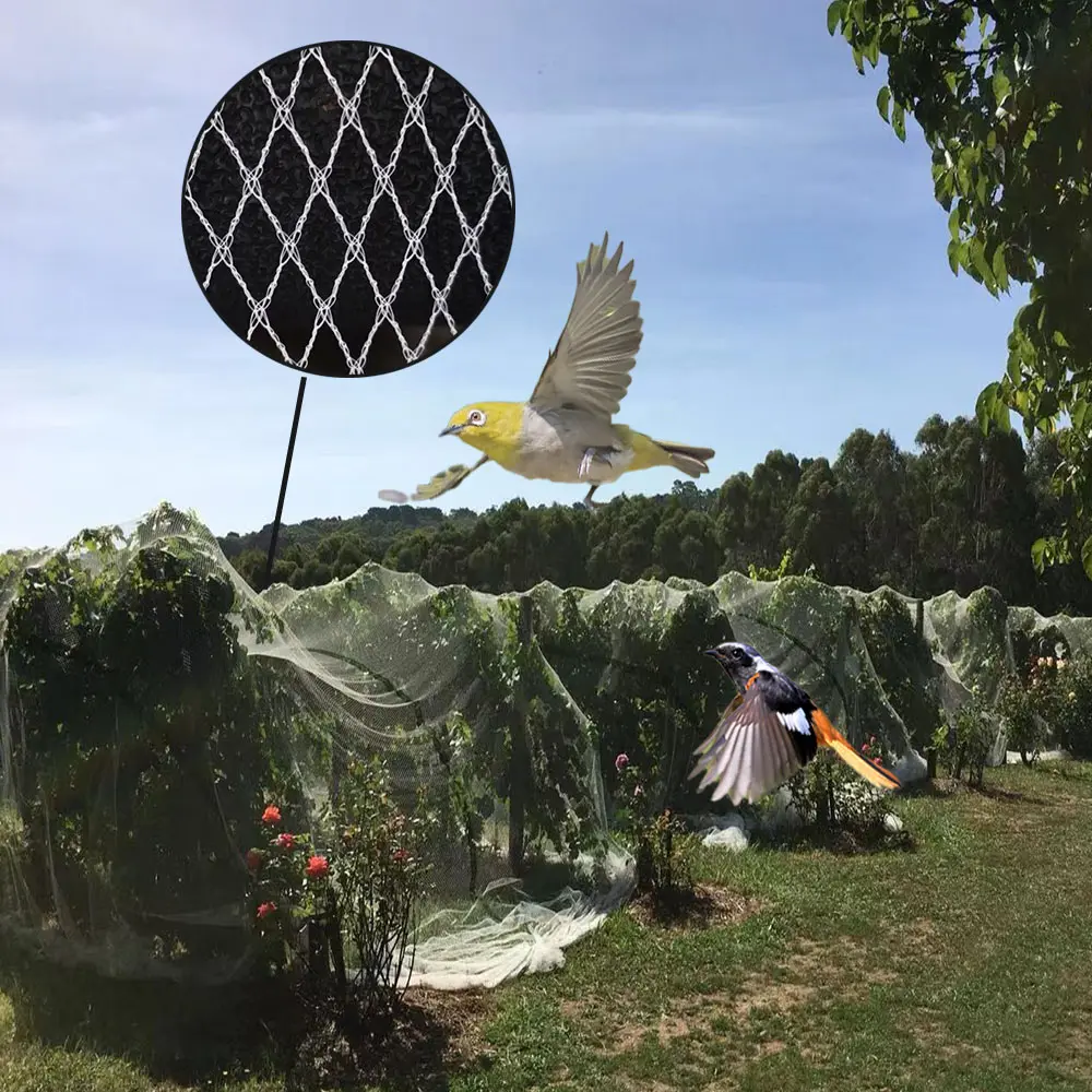 Transparent HDPE UV Material vegetable protection anti bird net for rice field