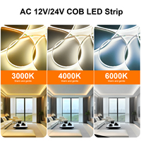 Bande LED COB Flexible Intelligente Dimmable de Haute Qualité 400 WS2811, Découpable, Largeur 5mm, 24V, Télécommande NFC, CE