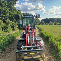 Gelenkiger Mini-Hoflader Radlader Dieselbetrieben für Unkrautbekämpfung Landwirtschaft Multifunktionaler Kompakt-Traktorlader Motor
