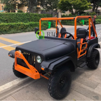 Voiture électrique Richi 4 roues, type Jeep Moke, 2 places, moteur 3000W, vitesse maximale 70 km/h, mini Jeep 250CC, voiture pour enfants, sièges en cuir