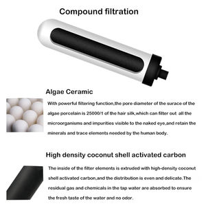 Pas cher Maison Cuisine Bureau <span class=keywords><strong>Robinet</strong></span> Purificateur D'<span class=keywords><strong>eau</strong></span> Diatomée <span class=keywords><strong>Filtre</strong></span> En Céramique Avec <span class=keywords><strong>Charbon</strong></span> Actif Purificadores De Agua De Cocina - Product Image 6