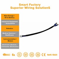 Kabel Harness Tembaga Silikon Berinsulasi Mineral Tahan Suhu Tinggi untuk Sensor Industri, Komputer, dan Penggunaan Motor di Kondisi Ekstrem
