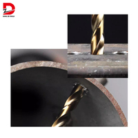 DZ 29 pièces titane enduit tige droite foret ensemble HSS changement rapide métrique régulier outils de forage acier