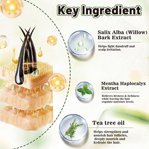 OEM/ODM Hair Silking Mist Cleansing Kopfhaut öl-Kontrolle Entfernen Sie Geruch Minze Anti Itchy Relief Kopfhaut Haar erfrischung <span class=keywords><strong>spray</strong></span> - Product Image 2