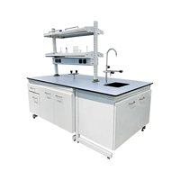 Bancs de laboratoire modulaires entièrement en acier sur mesure, solution de mobilier de laboratoire avec armoires pour les laboratoires de chimie