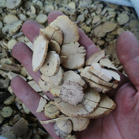Tranches de tige d'Akebia (Chuan Mu Tong) et de Clematis Armandii, séchées naturellement, avec une durée de conservation de 1 an, provenant de Bozhou, Chine, pour usage en herboristerie