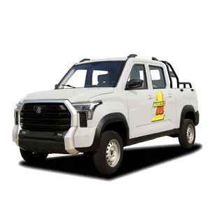 Made in China cheap mini ram electric vans car pickup trucks pak yak 4x4 ev for sale