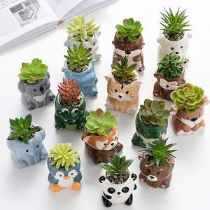 DIYOMR - Maceta Ecológica con Forma de Animalitos, Mini Maceta de Cerámica con Forma de Animal de Dibujos Animados para Plantas Suculentas, para Jardinería Interior y Decoración del Hogar - Product Image 2