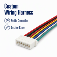 Câble personnalisé XPB JST XH, pas de 1,0, 2,0, 2,54 mm, connecteur 2, 3, 4, 5, 6, 7, 8, 9, 10 broches, mâle/femelle, faisceau de câblage Zh, Ph, XH, Molex, JST