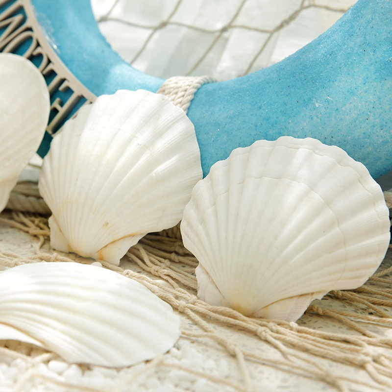 wall panels sea shells