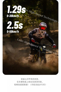 Nueva Motocicleta Todoterreno Light X de 10kW con Batería Extraíble de 72V35Ah para Venta al Por Mayor - Product Image 4