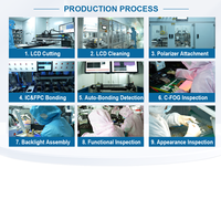 Custom Transflective Transmissive LCD TN Industrial Equipment Segment LCD Display Monochrome Display with Backlight