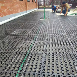 HDPE verticale tappeto erboso cella di drenaggio <span class=keywords><strong>per</strong></span> il giardino pensile gioco terra cortile terrazzo paesaggistico sistema di ponte - Product Image 5