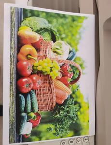 Impresión láser a color A3 para copiadora/<span class=keywords><strong>impresora</strong></span>/escáner multifunción de oficina <span class=keywords><strong>Canon</strong></span> C5255 - Product Image 5