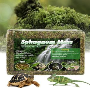 Natural Compressed Dry Accessories Cool Climbing Turtle Hibernating Winter Moisturizing <strong>Moss</strong> Mat Reptile Supplies Sphagnum <strong>Moss</strong> - Product Image 1
