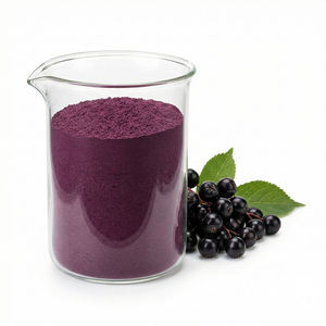 Bubuk Ekstrak Elderberry Kelas Makanan Kesehatan Premium Mengandung 25% Antosianin untuk Meningkatkan Imunitas dan Manfaat Antioksidan - Product Image 1