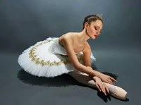 Vestido de Ballet Profesional para Mujer, Tutú Blanco, Traje Clásico para Actuación, Bordado Dorado, Ropa de Danza Escénica