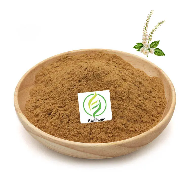 Wholesale Supplement 10:1 20:1 Actaea Racemosa Black Cohosh Extract Powder