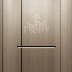 Ascenseur pour passagers Mitsubishi, matériau respectueux de l'environnement, bon prix - Product Image 4