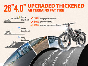 Bicicleta eléctrica de montaña de 250w con neumáticos gruesos, bicicleta eléctrica de 48v de alta calidad, adecuada para deportes al aire libre y desplazamientos diarios. - Product Image 6