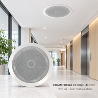 Haut-parleur de plafond ABS personnalisé de 6,5 pouces 20W avec transformateur intégré pour sonorisation commerciale et musique d'ambiance