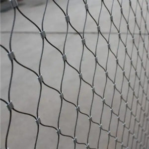 कारखाने की कीमत बुने हुए हीरे 316 स्टेनलेस स्टील वायर रस्सी जाल बिछाया पशु सुरक्षा के लिए जाल - Product Image 2