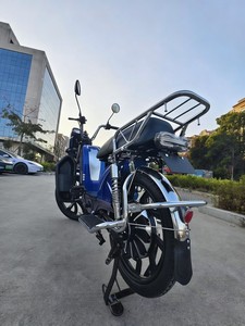 Bicicletta Elettrica Load <span class=keywords><strong>King</strong></span> 500W 60V 12Ah con Doppia Sospensione, Freni a Tamburo, Motore Brushless in Acciaio, E-Bike da Carico per Consegne in Città, 3 Velocità - Product Image 3