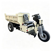 Tricycles à batterie sèche 72V 60V 3000W, mini-dumper de chargement auto-chargeur, ensemble moteur, batterie électrique à décharge sèche, 3 roues