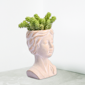 กระถางปลูกต้นไม้หน้าสำหรับตกแต่งสวนกระถางบอนไซอวบน้ำกระถางซีเมนต์ขนาดเล็กสำหรับปลูกในร่มกลางแจ้งกล่องวินเทจ - Product Image 5