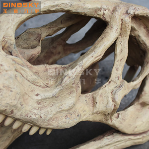 Grande simulation <span class=keywords><strong>de</strong></span> <span class=keywords><strong>tyrannosaure</strong></span> Rex, modèle <span class=keywords><strong>de</strong></span> squelette <span class=keywords><strong>de</strong></span> tête <span class=keywords><strong>de</strong></span> dinosaure, spécimen pour exposition du british - Product Image 6