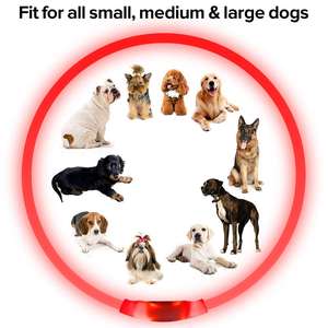 Kalung anjing silikon LED, lampu malam untuk anjing, Kalung keamanan anjing, lampu anak anjing bersinar bisa diisi ulang, kerah kucing - Product Image 5