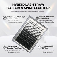 Kit d'extensions de cils en grappe personnalisables en gros, marque privée, courbure C et D, pré-coupées, en segments