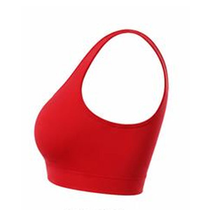 Soutien-gorge de sport léger et de qualité supérieure pour femme, maintien élevé, bretelles, logo frontal, séchage rapide, vêtements de fitness, fournisseur en gros de soutiens-gorge de sport pour femme - Product Image 6