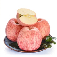 Food Grade Hoge Zuiverheid Grote Voorraad Appelfruitpoeder Appelvruchtensap Poeder Volledig In Water Oplosbaar