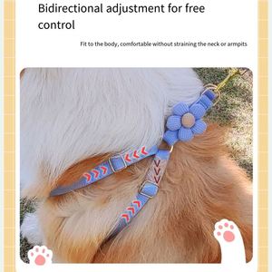 Arnés para Perro Pequeño al por Mayor de Fábrica con Correa, Set de 5 Colores Vibrantes, Lindo, Adecuado para Perras, Chaleco Arnés para Mascotas, Sin Parar - Product Image 4