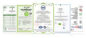 Bán Hot divaricate saposhnikovia chiết xuất chất lượng tốt nhất Radix saposhnikoviae chiết xuất Fang Feng chiết xuất - Product Image 6