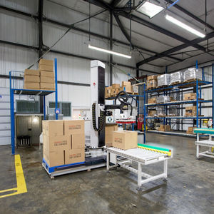 แขนหุ่นยนต์จัดเรียงพาเลทอัตโนมัติแบบไฟฟ้า รับน้ำหนักได้ 100 กก. สำหรับสายการผลิตอาหารและเครื่องดื่ม กล่อง/สายพาน ผลิตภาพสูง - Product Image 1