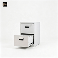 Armoire de classement métallique moderne grande capacité à 2 tiroirs verrouillables en acier écologique, démontable, pour bureau, atelier, salle de sport, maison