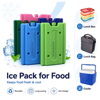 Pack de gel réfrigérant biodégradable et réutilisable en plastique personnalisé de 200 ml à 800 ml pour boîte isotherme alimentaire et expédition