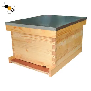 Alveari in legno 8 e 10 telai langstroth bee hive