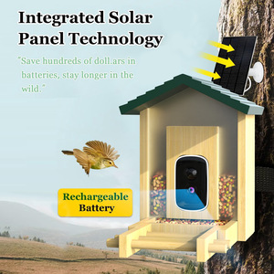 Factory Custom Eco-Friendly Bird <strong>Feeder</strong> Bamboo Wood Smart Bird <strong>Feeder</strong> 5MP High Pixel Monitoring AI Recognition Camera Plastic - Product Image 5
