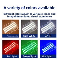 Module LED extérieur à puce de marque, blanc froid 12V 7000K, pour enseignes lumineuses, boîtes à lumière, moulage par injection, publicité, garantie 2 ans