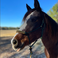 Équipement équestre occidental fait main, harnais de cheval durable, entraînement à l'équitation, licol réglable en corde, bande de nez perlée