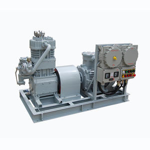 Reciprocating Oil-free Lubrication Frequency Conversion Small LPG Compressor Belt Air-cooled BT4 - Product Image 2